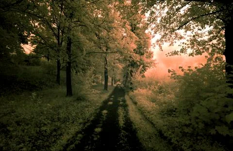 Summer twilight road Stock Photos