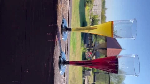 In the summer, two glasses of red and white wine are served outdoors. Stock Footage 330123421