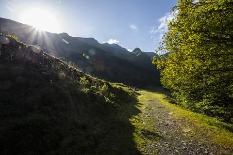 Summer in Uelhs Deth Joeu waterfall, Val D Aran, Spain Stockfoto's
