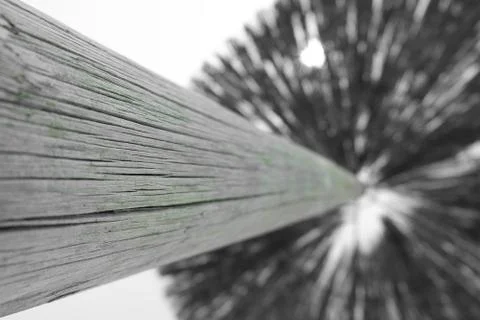 Summer umbrella Stock Photos