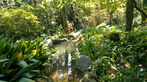 Summer undergrowth with small river Video stock 122105812