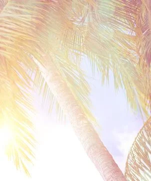 Summer vacation background Stock Photos