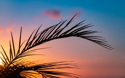 Summer vacation background Stock Photos