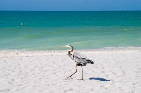 Summer vacation beach Stock Photos