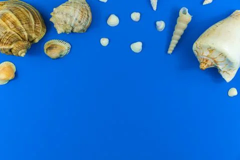Summer vacation composition with seashell border on a blue background, copy s Stock Photos