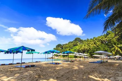 Summer vacation concept background Stock Photos