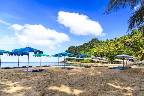 Summer vacation concept background Stock Photos