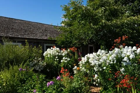 Summer Vacation Cottage Stock Photos