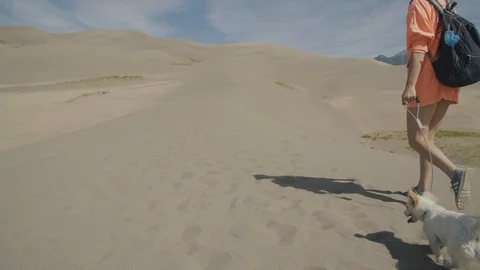 Summer vacation dog on sand dunes in Western United States Video stock 115430341