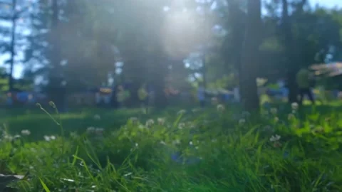 Summer vacation in the park drinking milkshakes in hot weather Video stock 199286391