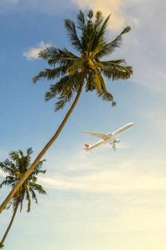 Summer vacation Stock Photos