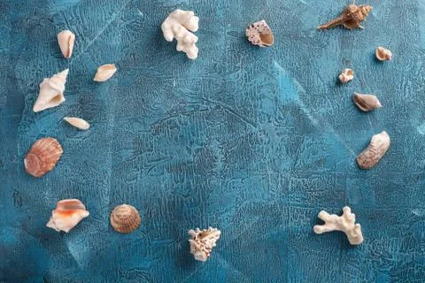 Summer vacation, tourism, travel, holiday concept. Sea shells on blue backround Stock Photos