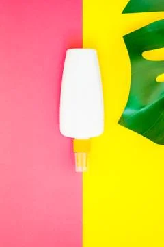 Summer vacations creative flat lay concept Stock Photos