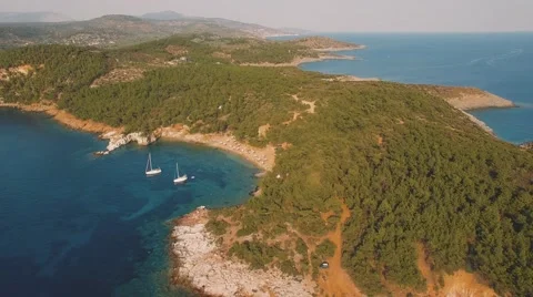 Summer vacations Stock Footage 68007289