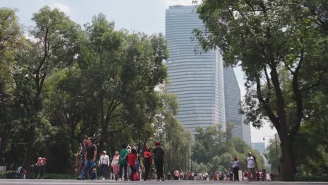 Summer vacations in Mexico City Chapultepec forest amazing view tall buildings Stock Footage 346250352