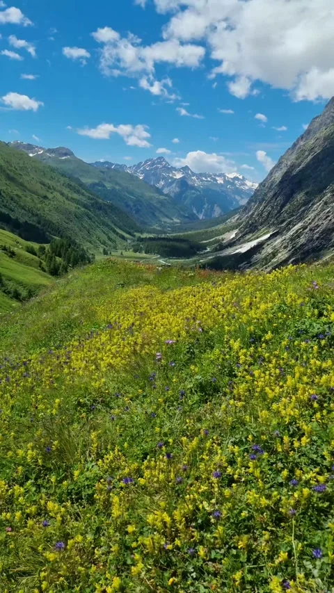 Summer in Val Ferre, one of the valleys of the eastern massif of Mont Blanc Stock Footage 284668551