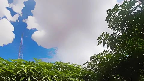 Summer Vector Background with Sky over Foliage Vidéo 160303655