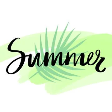Summer - Vector hand drawn lettering phrase with palm leaf. Modern brush Illustrazione stock