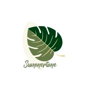 Summer vector logo design - tropical leaf of Monstera plant close-up isolated Stock Illustration