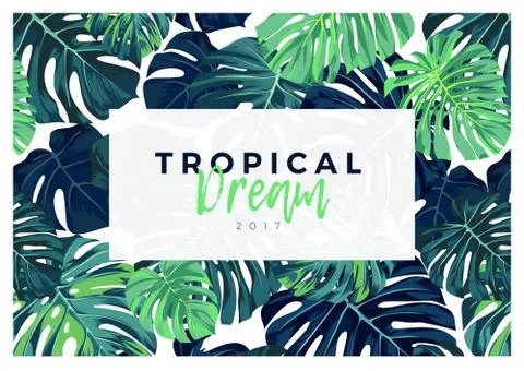 Summer vector tropical design with green monstera palm leaves. Stock Illustration