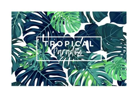 Summer vector tropical postcard design with green monstera palm leaves. 库存插图