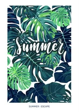 Summer vector tropical postcard design with green monstera palm leaves and Stock Illustration