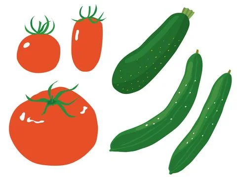 Summer vegetable illustration set of tomatoes, zucchini and cucumbers. Stock Illustration
