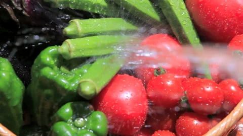 Summer Vegetables Stock Footage 327554713