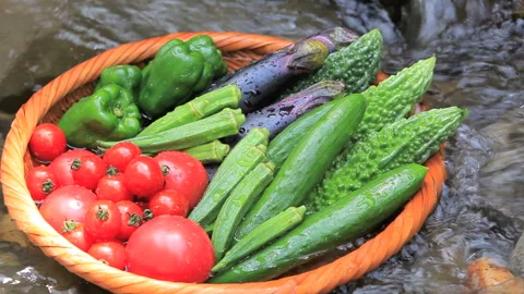Summer Vegetables in the Stream Stock Footage 327554772