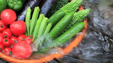 Summer Vegetables in the Stream Stock-Footage 327554825