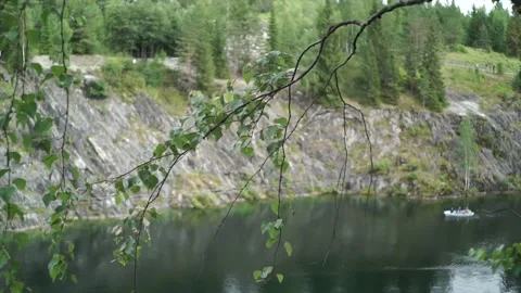 Summer vegetation. Stock Footage 150108531