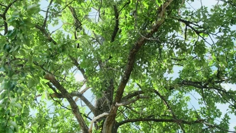 Summer vibes. Stock Footage 292346109