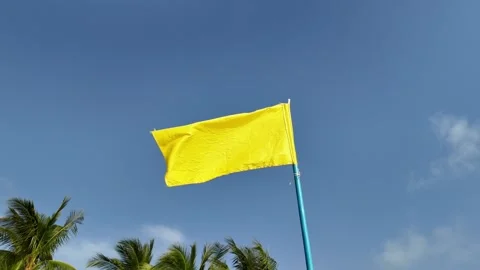 Summer Vibes, Yellow Flag and Palms Stock Footage 264812508