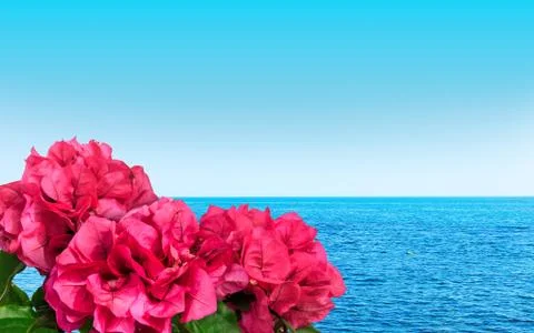 Summer view background Foto stock