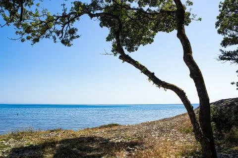 Summer view of the beach, tree and sea in the camping area of Thin Cape 스톡 사진