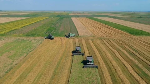 Summer view of combine harvester machine, in the field Stock Footage 92168564