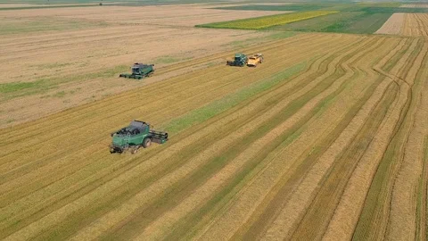 Summer view of combine harvester machine, in the field Stock Footage 92168785