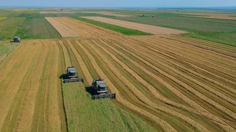 Summer view of combine harvester machine, in the field Stock Footage 92168850