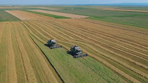 Summer view of combine harvester machine, in the field Stock Footage 92168915