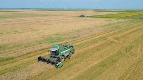 Summer view of combine harvester machine, in the field Stock Footage 92168985