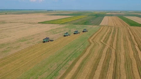 Summer view of combine harvester machine, in the field Stock Footage 92169129