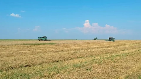 Summer view of combine harvester machine, in the field Stock Footage 92169399