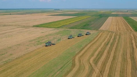 Summer view of combine harvester machine, in the field Stock Footage 92169474