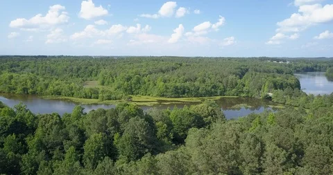 Summer view of lakes and trees Stock Footage 98528393