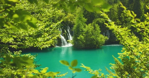 Summer view of lush green trees and turquoise lake in Plitvice Lakes National Stock Footage 307114729