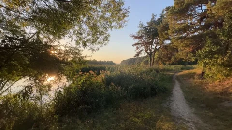 Summer View Of Nature By The River At Sunset Stock Footage 250624793