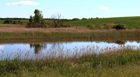 Summer view Stock Photos