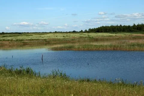 Summer view Stock Photos