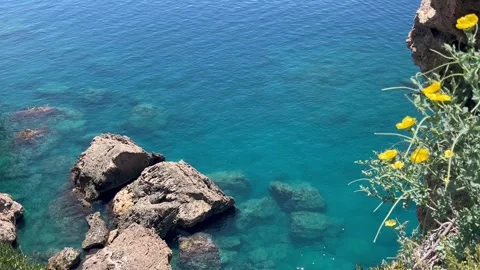 Summer view with rocks in the sea by the coast with flowers Stock Footage 336947963