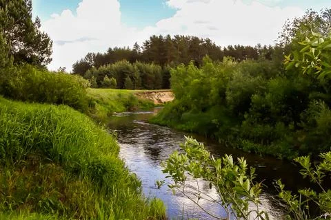 Summer view of a small forest river Stock Photos